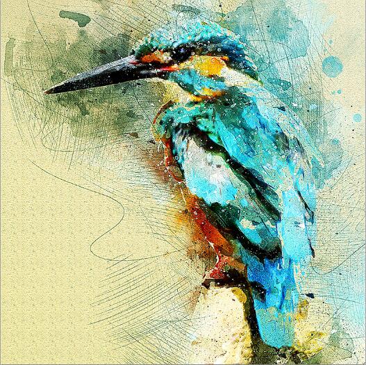 Tableau colibri - My Poparts®