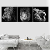 Trois Tableaux Lion Noir Et Blanc