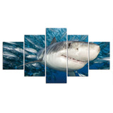 Tableau Requin Blanc