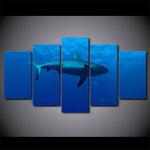 Tableau Grand Requin Bleu