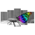 Tableau Papillon Multicolore