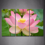 Tableau Zen Fleur De Lotus Rose